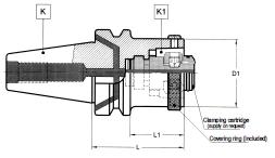 LaipStandard to HSK BT to HSK Adapter