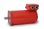MF Synchronous Motors